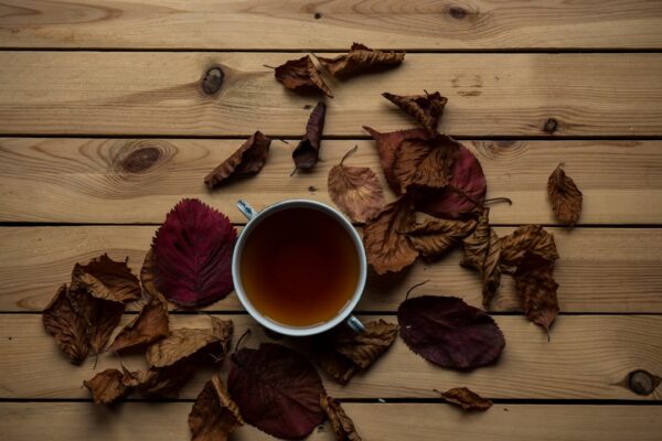Désintoxication naturelle pour le corps et l’esprit